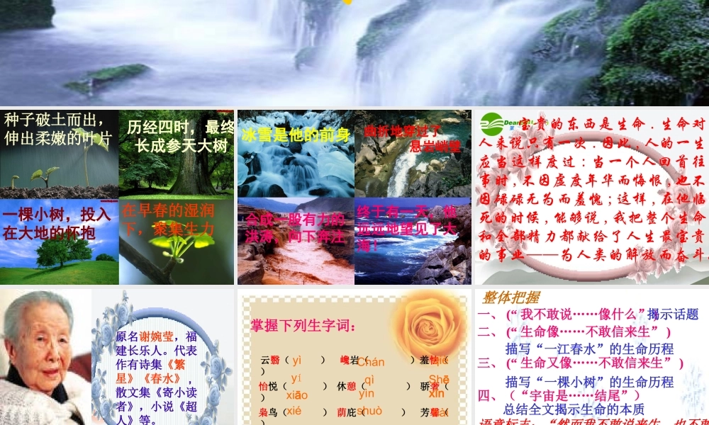 九年级语文下册 谈生命课件 人教新课标版 课件