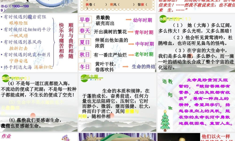 九年级语文下册 谈生命课件 人教新课标版 课件