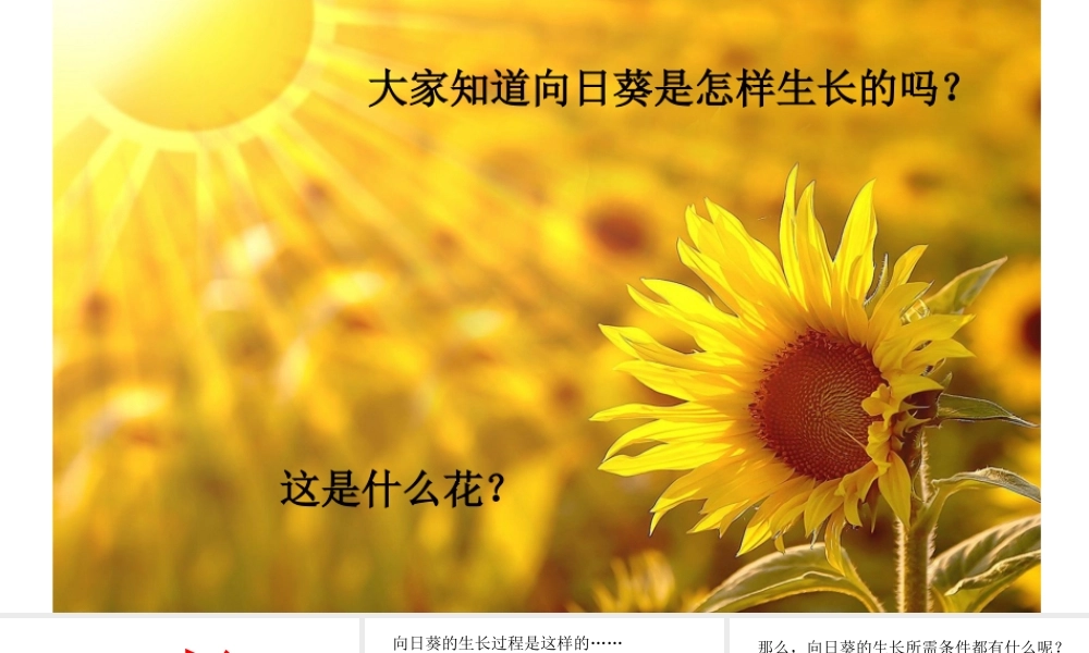 一年级《长呀长》课件