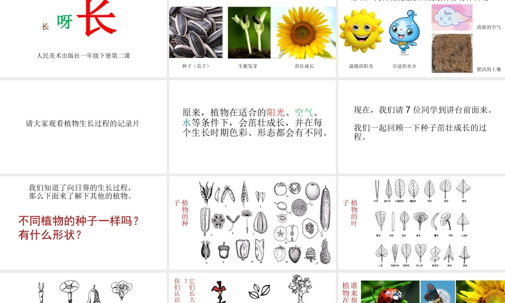 一年级《长呀长》课件