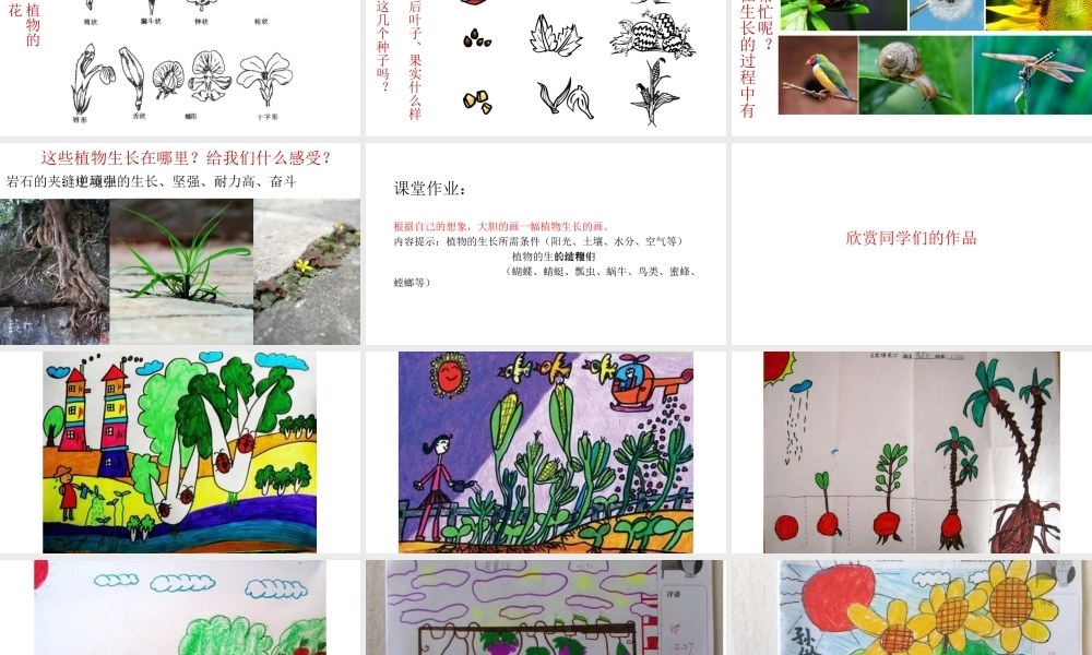 一年级《长呀长》课件