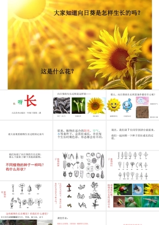 一年级《长呀长》课件