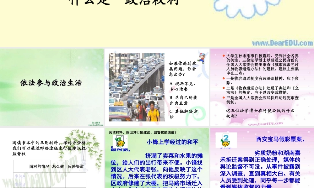 依法参与政治生活第六课第三框 课件