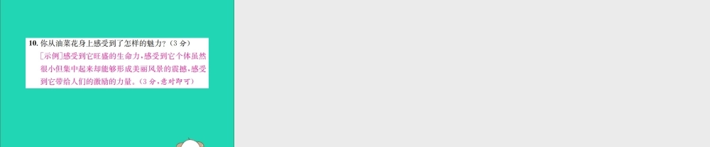 八年级语文下册 第五单元 滴水经过丽江课件 新人教版 课件