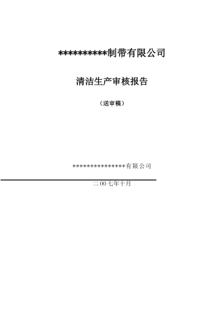 XX制带有限公司(彩带)清洁生产审核报告