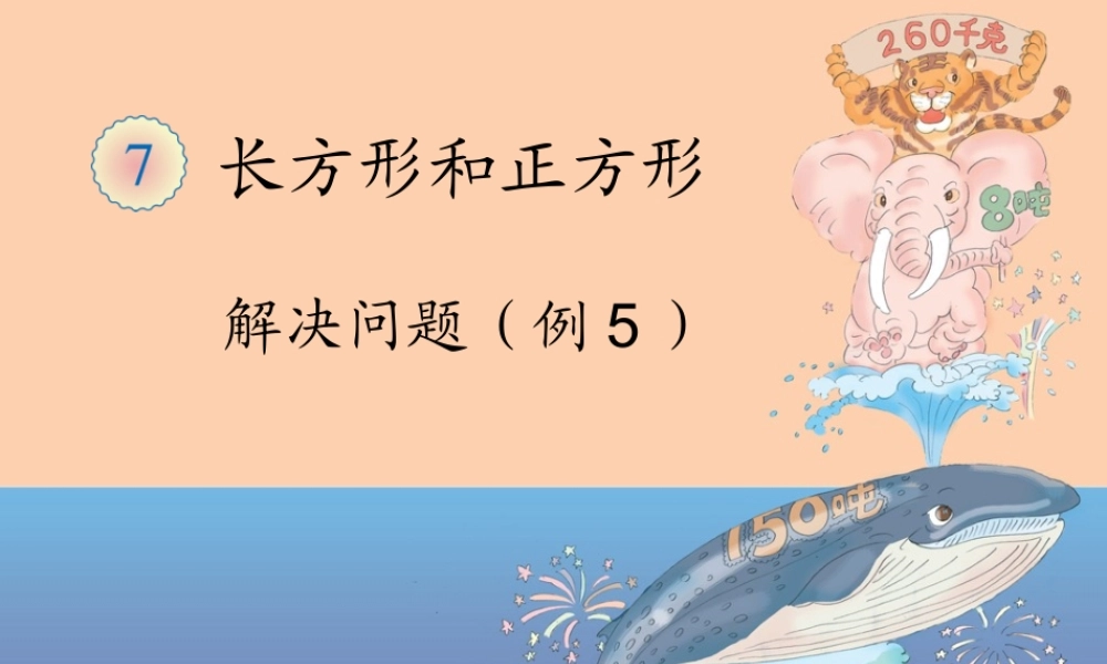 解决问题（例5） (2)