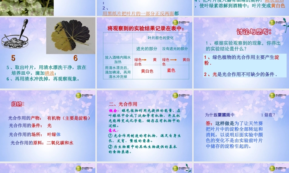 中学七年级生物上册 绿色植物是生物圈中有机物的制造者课件 新人教版 课件