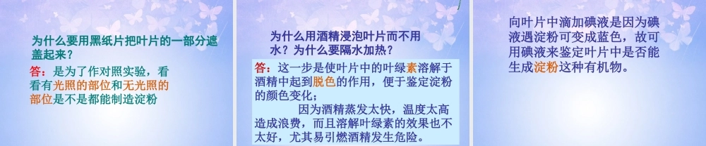 中学七年级生物上册 绿色植物是生物圈中有机物的制造者课件 新人教版 课件