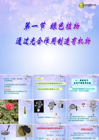 中学七年级生物上册 绿色植物是生物圈中有机物的制造者课件 新人教版 课件