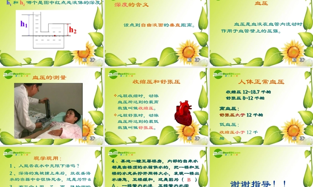 九年级物理：二、液体压强课件(人教新课标版) 课件