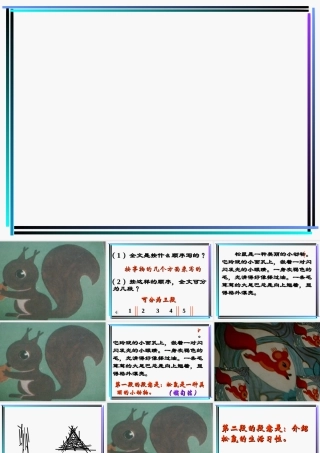 八年级语文松鼠课件3苏教版 课件