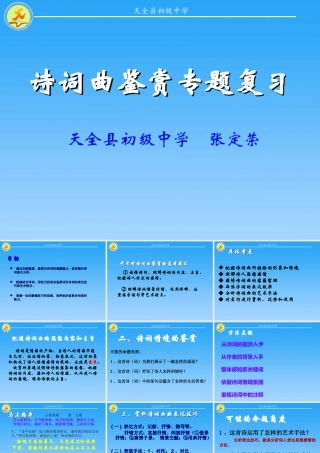 诗词曲鉴赏专题复习