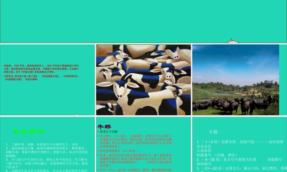 七年级语文下册 第四单元 16(牛群)课件 冀教版 课件