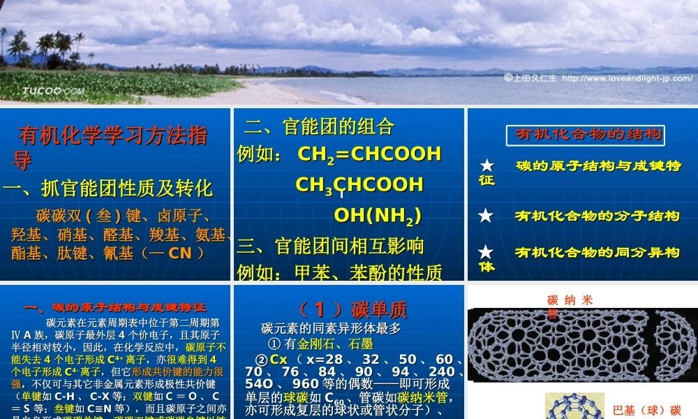 有机化学基础专题复习精品课件