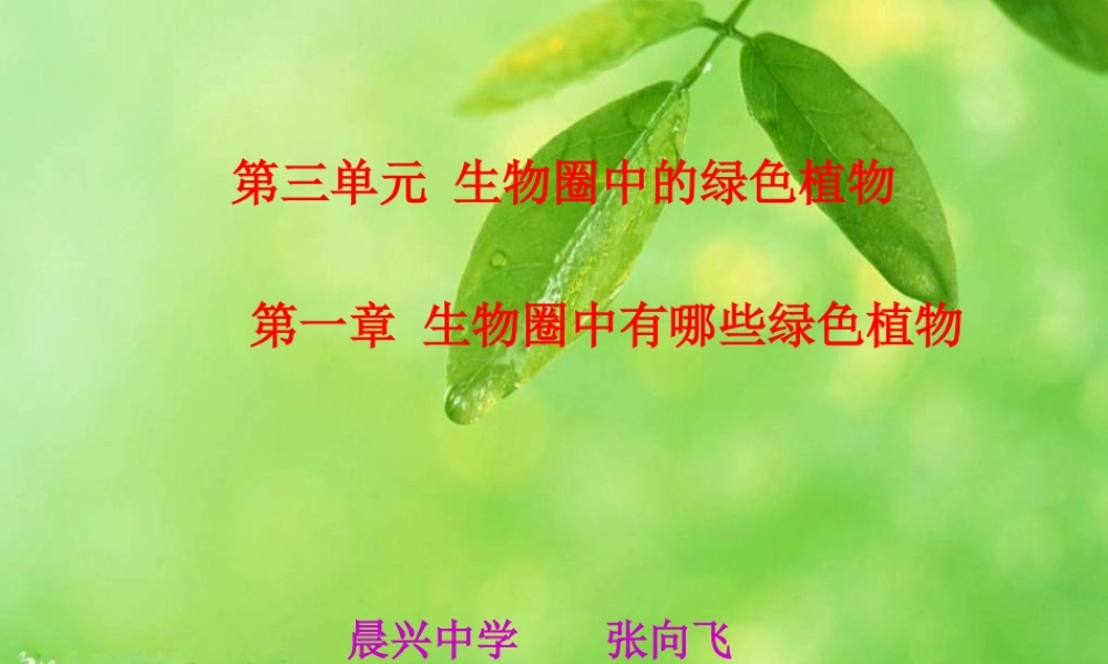 初中一年级生物上册第三单元生物圈中的绿色生物第一第一节藻类、苔藓和蕨类植物第一课时课件 (2)
