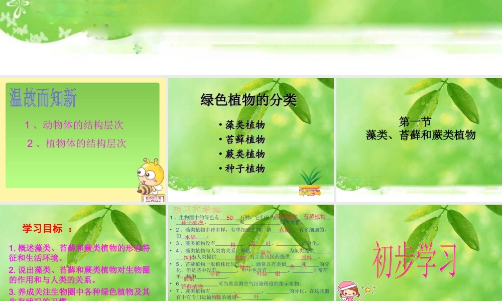 初中一年级生物上册第三单元生物圈中的绿色生物第一第一节藻类、苔藓和蕨类植物第一课时课件 (2)