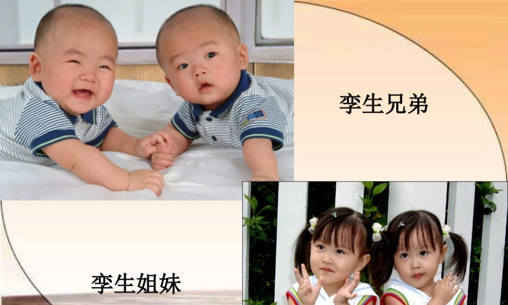 五下7课《火星—地球的孪生兄弟》课件
