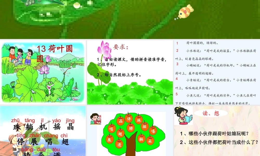 (部编)人教语文2011课标版一年级下册《荷叶圆圆》课件