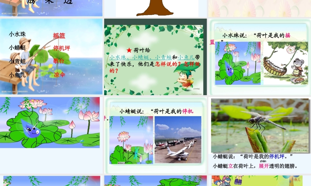 (部编)人教语文2011课标版一年级下册《荷叶圆圆》课件