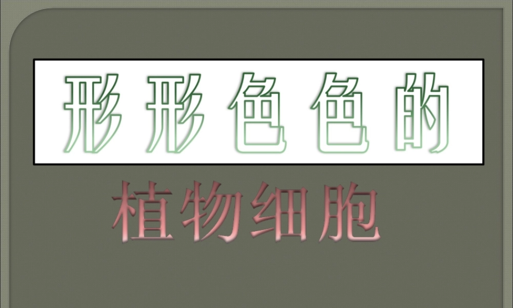 形形色色的植物细胞