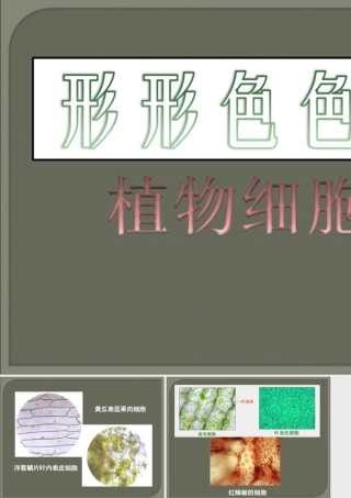 形形色色的植物细胞