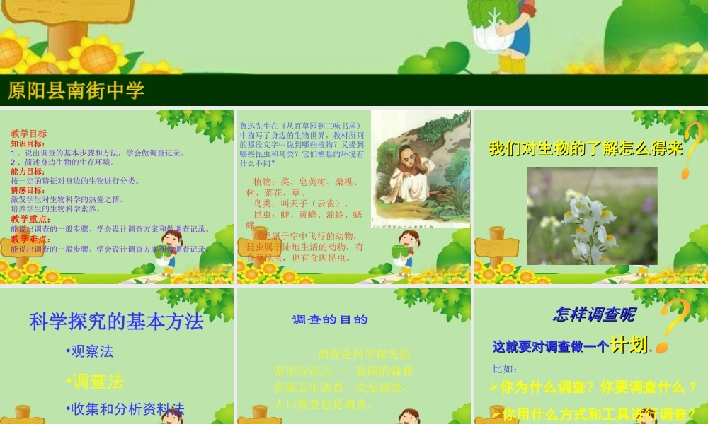 生物：第一单元第一章第二节_调查周边环境中的生物1课件(人教版七年级上)