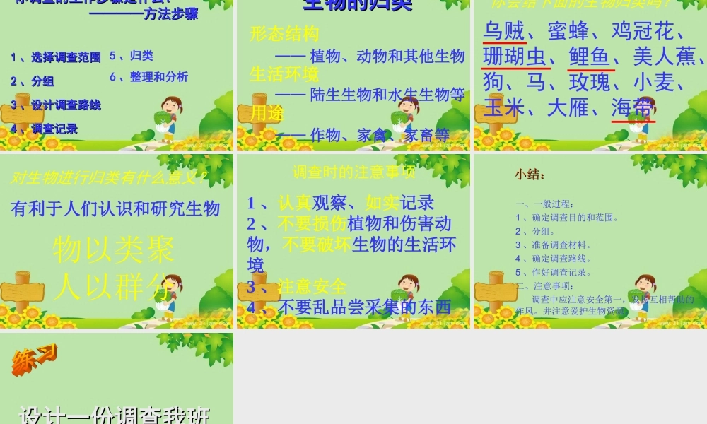 生物：第一单元第一章第二节_调查周边环境中的生物1课件(人教版七年级上)