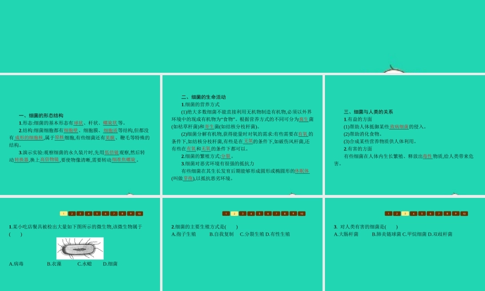 七年级生物上册 2.3.2 细菌课件 (新版)济南版 课件