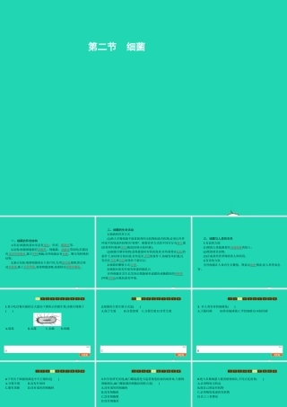 七年级生物上册 2.3.2 细菌课件 (新版)济南版 课件