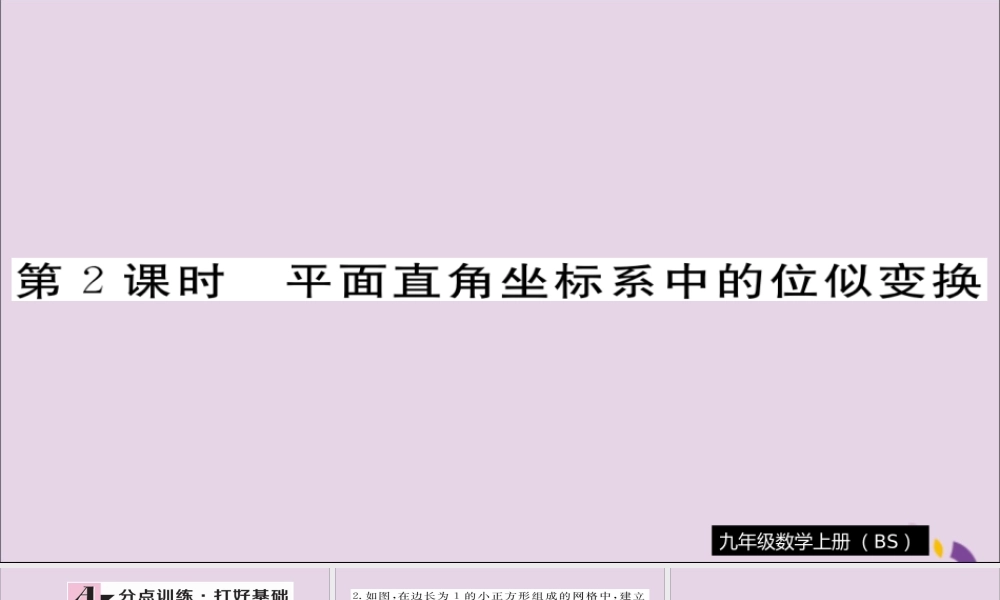 九年级数学上册 第四章 图形的相似 48 第2课时 平面直角坐标系中的位似变换习题课件 (新版)北师大版 课件