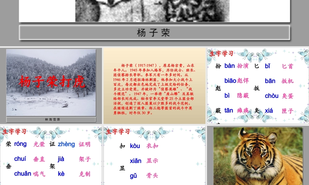 杨子荣打虎教学课件