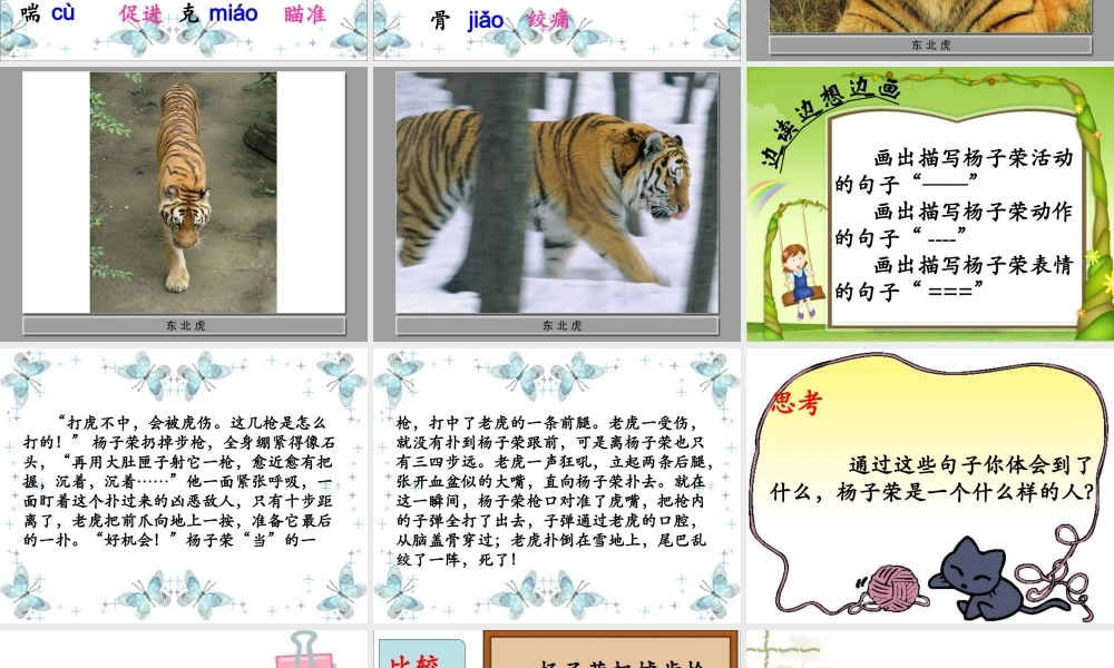 杨子荣打虎教学课件