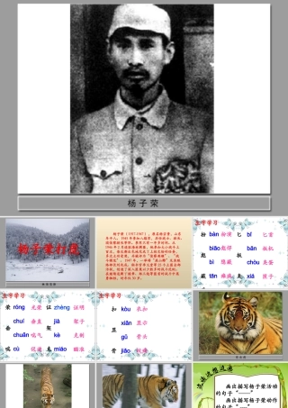 杨子荣打虎教学课件