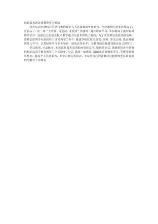 信息技术理论掌握得更为系统