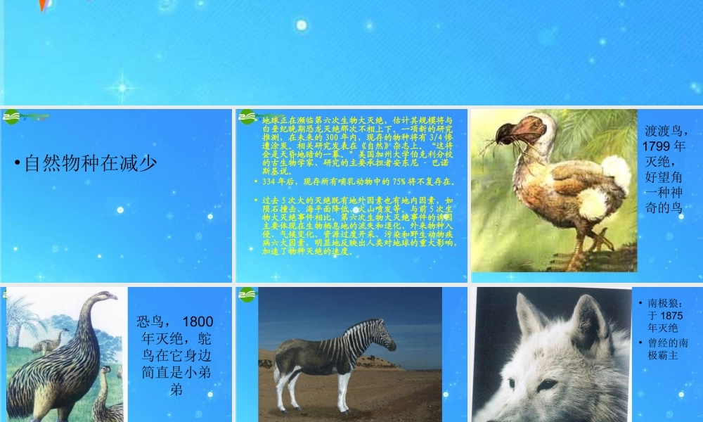 八年级政治下册 世界壮观的自然景色课件 鲁教版 课件