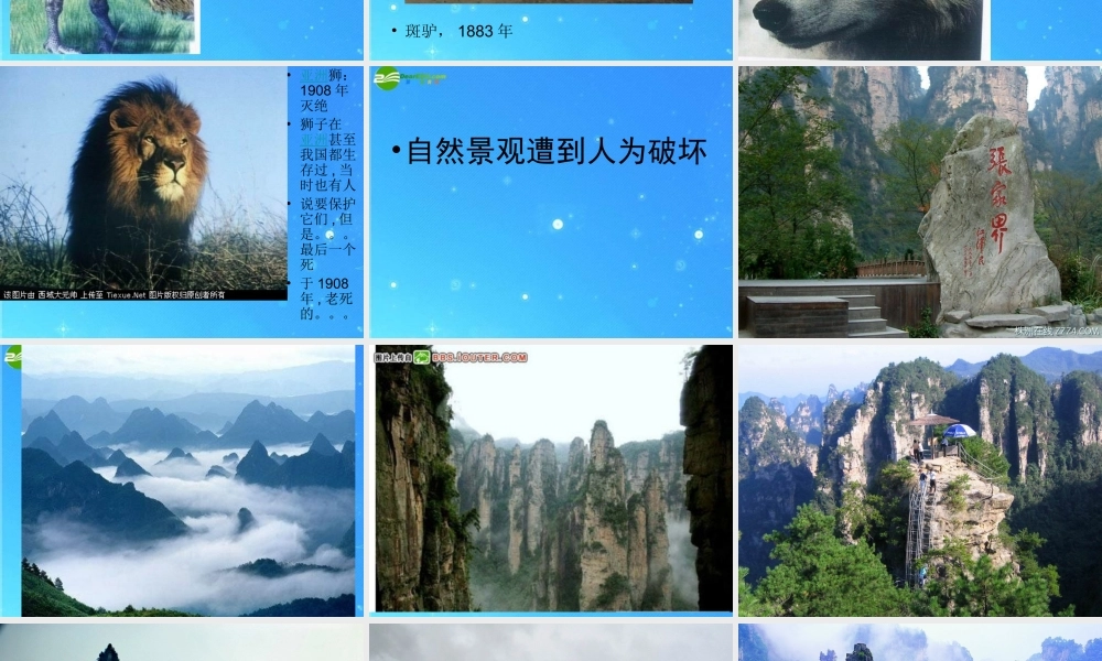 八年级政治下册 世界壮观的自然景色课件 鲁教版 课件