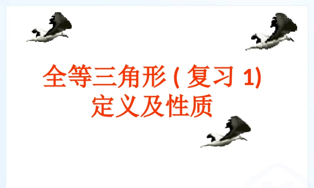 全等三角形复习1