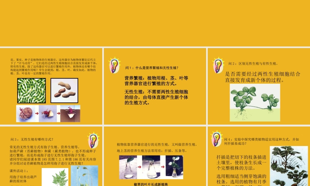 八年级科学下册 第七章第二节植物的无性生殖 华东师大版 课件