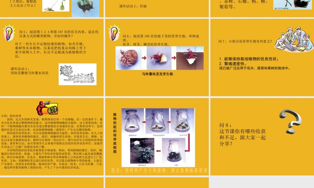 八年级科学下册 第七章第二节植物的无性生殖 华东师大版 课件