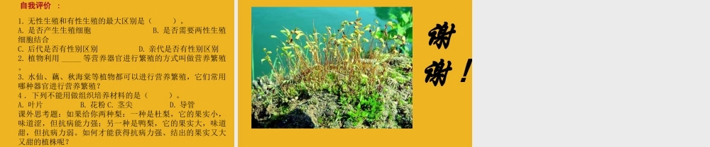 八年级科学下册 第七章第二节植物的无性生殖 华东师大版 课件