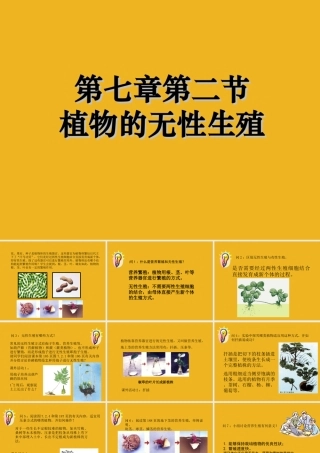 八年级科学下册 第七章第二节植物的无性生殖 华东师大版 课件