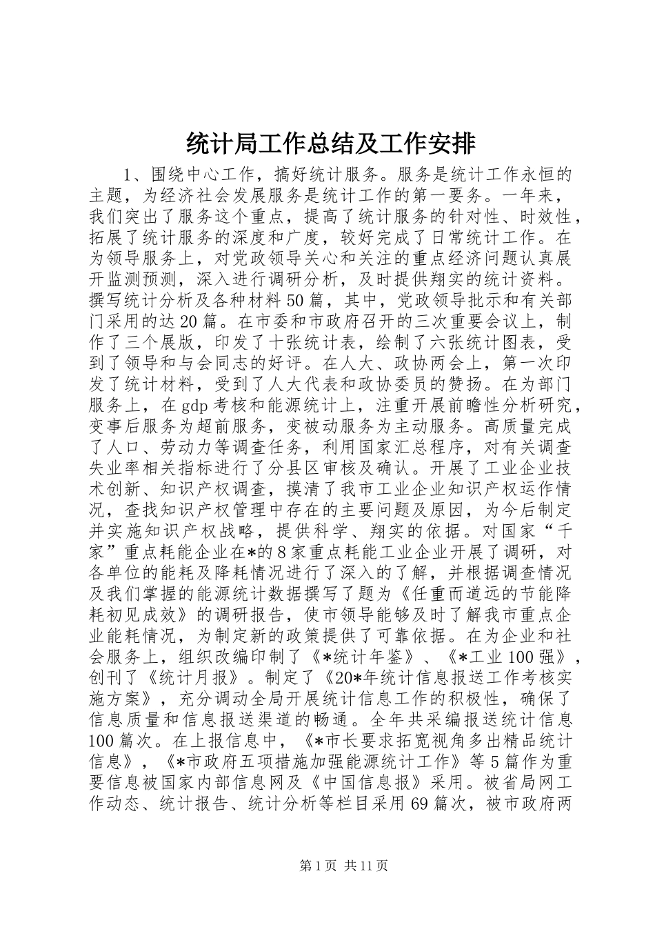 统计局工作总结及工作安排_第1页