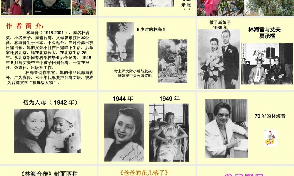 初中一年级语文下册第一单元2爸爸的花儿落了(林海音)第一课时课件