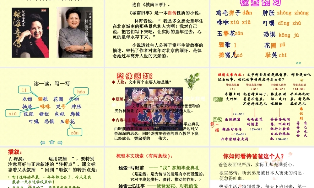 初中一年级语文下册第一单元2爸爸的花儿落了(林海音)第一课时课件