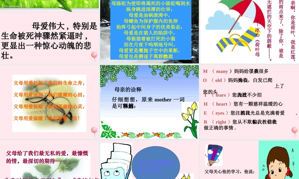 中学主题班会 母亲节 感恩的心课件2 课件