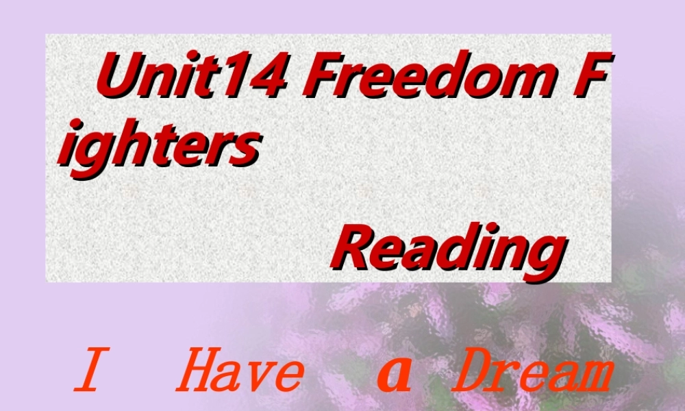 人教版高二英语Unit14 Martin Luther King 课件