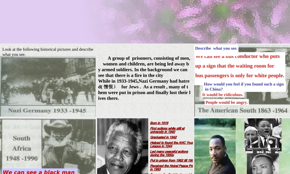 人教版高二英语Unit14 Martin Luther King 课件