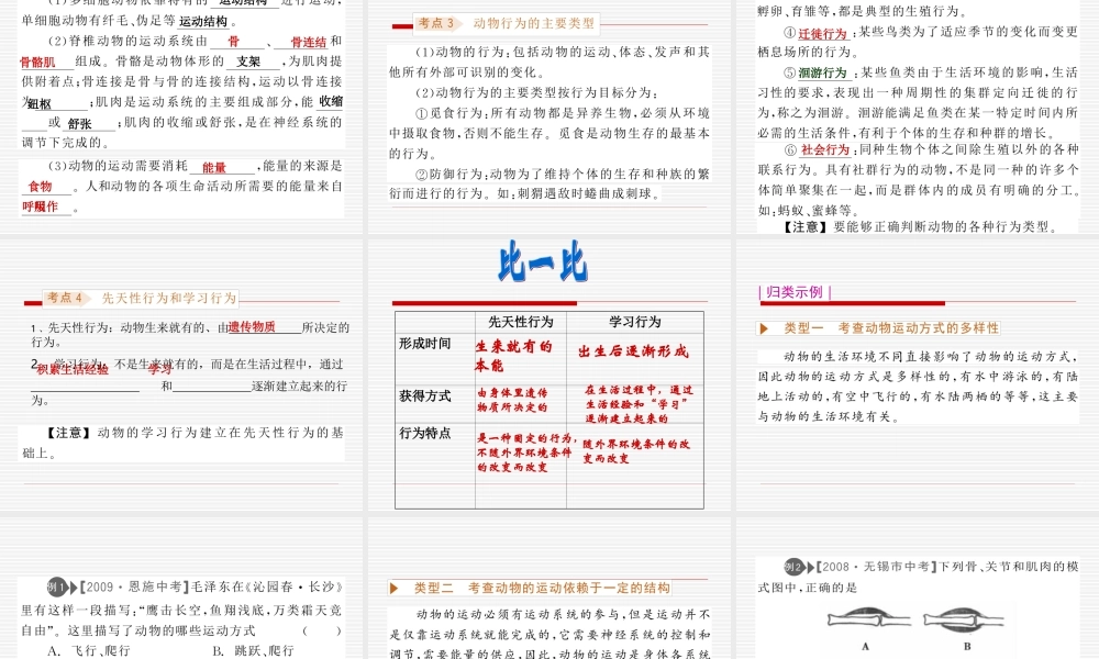 《动物的运动和行为》复习课件苏教版