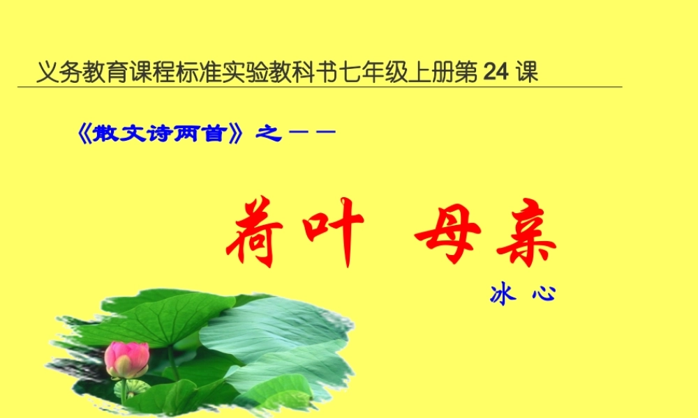 七年级语文上册(荷叶 母亲)优秀实课件 人教新课标版 课件