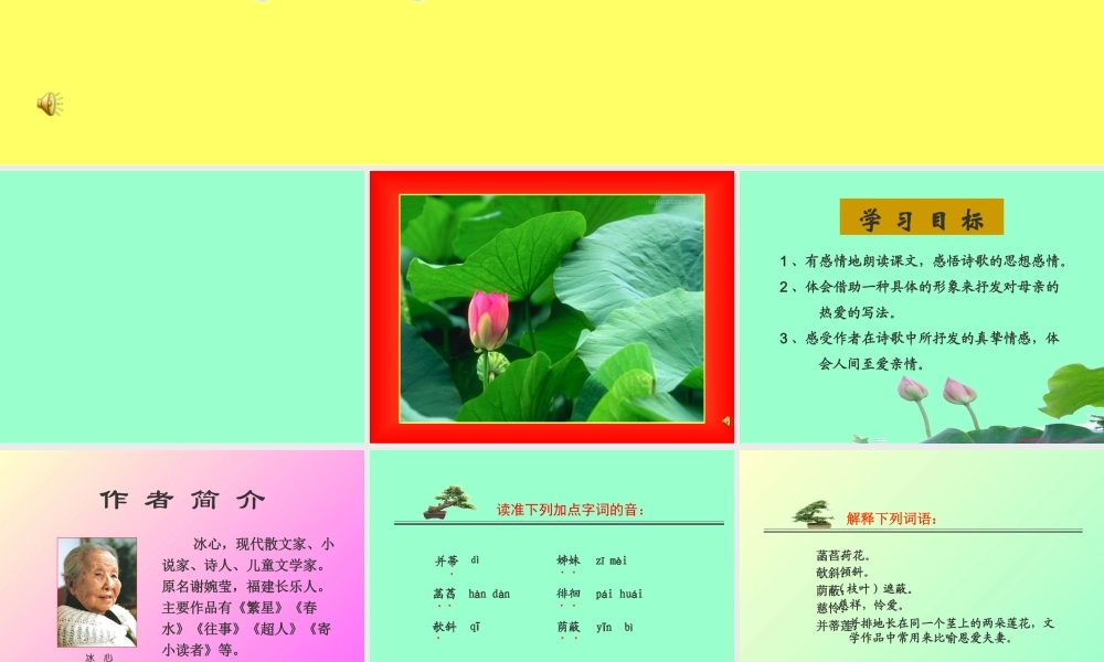 七年级语文上册(荷叶 母亲)优秀实课件 人教新课标版 课件